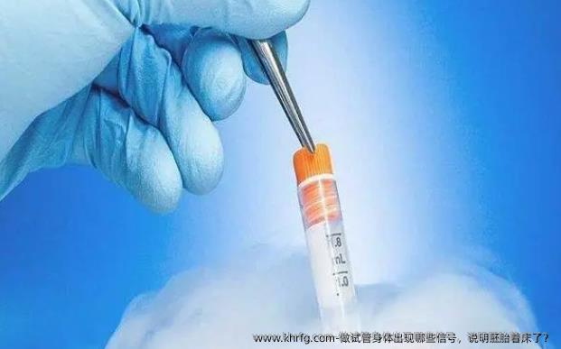 做试管身体出现哪些信号，说明胚胎着床了？