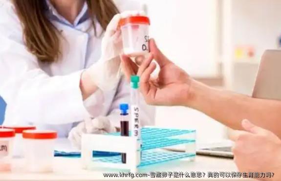 雪藏卵子是什么意思？真的可以保存生育能力吗？