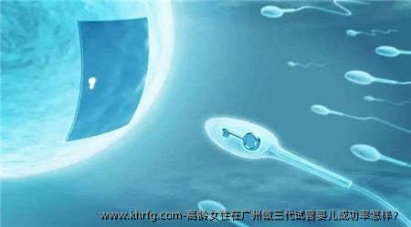 高龄女性在广州做三代试管婴儿成功率怎样？