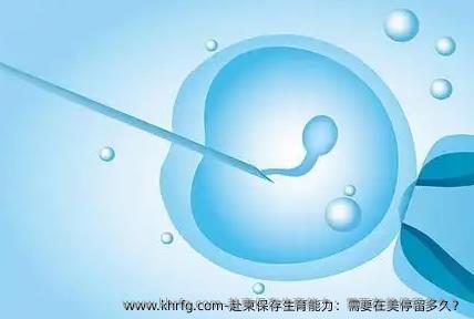 赴柬保存生育能力：需要在美停留多久？