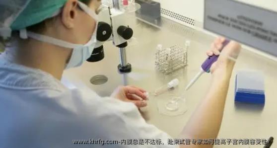 内膜总是不达标，赴柬试管专家如何提高子宫内膜容受性？