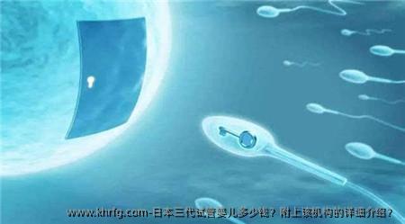 日本三代试管婴儿多少钱？附上该机构的详细介绍？