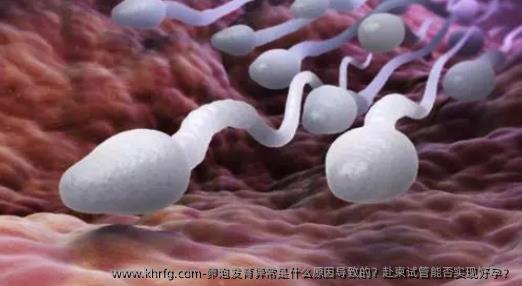 卵泡发育异常是什么原因导致的？赴柬试管能否实现好孕？