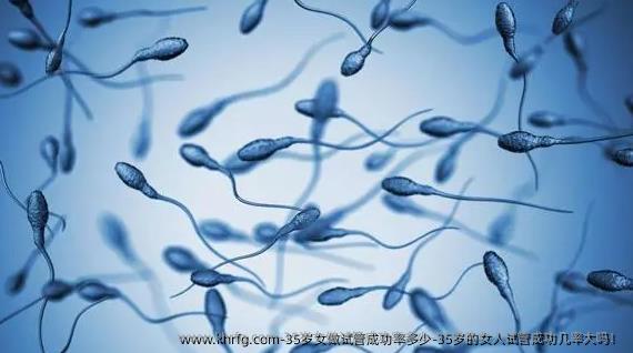 35岁女做试管成功率多少-35岁的女人试管成功几率大吗！