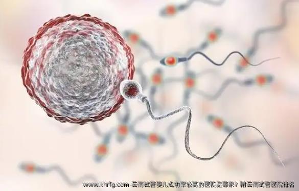 云南试管婴儿成功率较高的医院是哪家？附云南试管医院排名