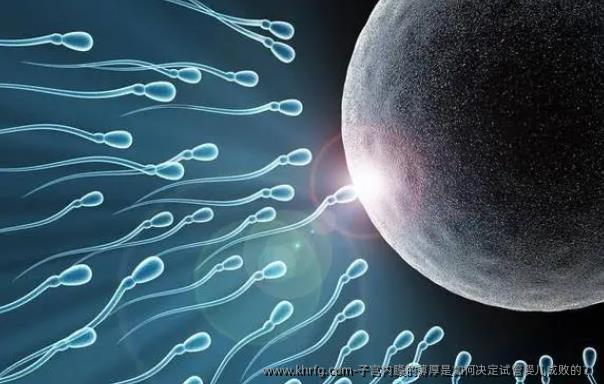 子宫内膜的薄厚是如何决定试管婴儿成败的？