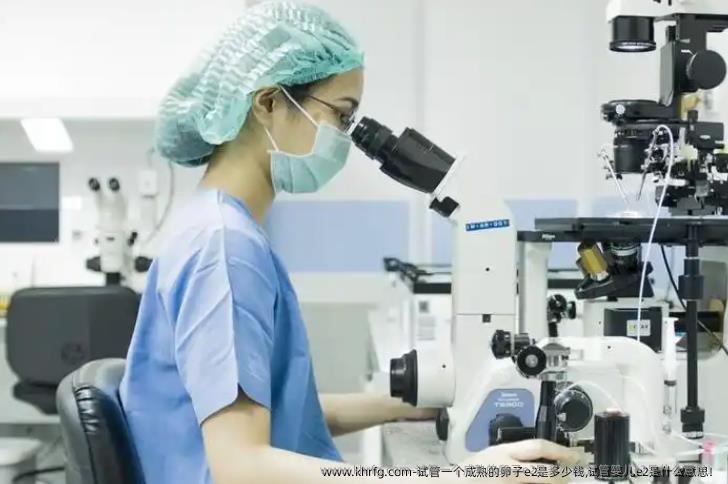 试管一个成熟的卵子e2是多少钱,试管婴儿e2是什么意思！