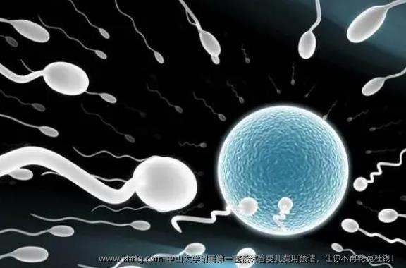 中山大学附属第一医院试管婴儿费用预估，让你不再花冤枉钱！