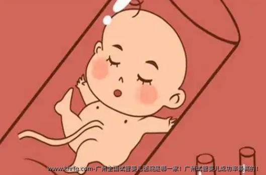 广州国内试管婴儿医院是哪一家！广州试管婴儿成功率最高的！