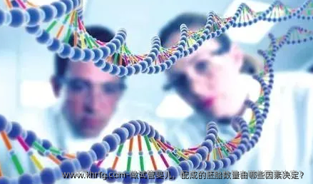 做试管婴儿，配成的胚胎数量由哪些因素决定？