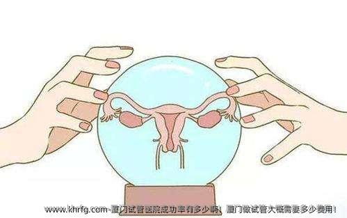 厦门试管医院成功率有多少啊！厦门做试管大概需要多少费用！