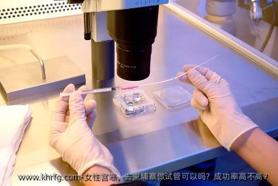 女性宫寒，去柬埔寨做试管可以吗？成功率高不高？