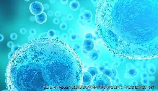 监测到卵泡但不排卵是怎么回事？可以做试管婴儿吗？