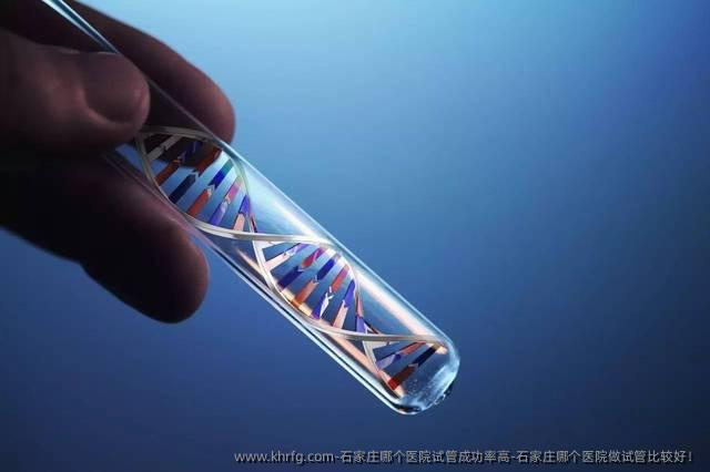 石家庄哪个医院试管成功率高-石家庄哪个医院做试管比较好！