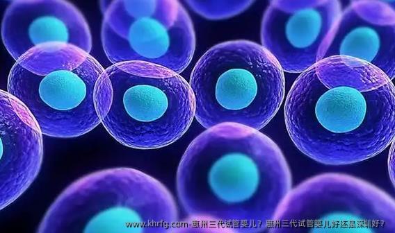 惠州三代试管婴儿？惠州三代试管婴儿好还是深圳好？