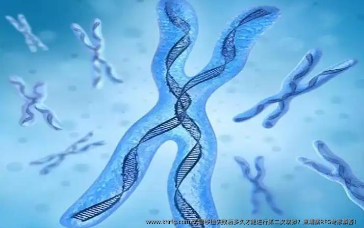试管移植失败后多久才能进行第二次卵泡取出？柬埔寨RFG专家解答！