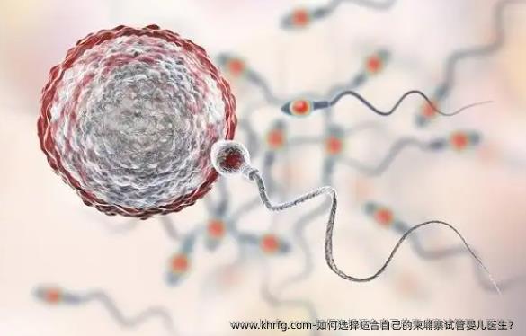 如何选择适合自己的柬埔寨试管婴儿医生？