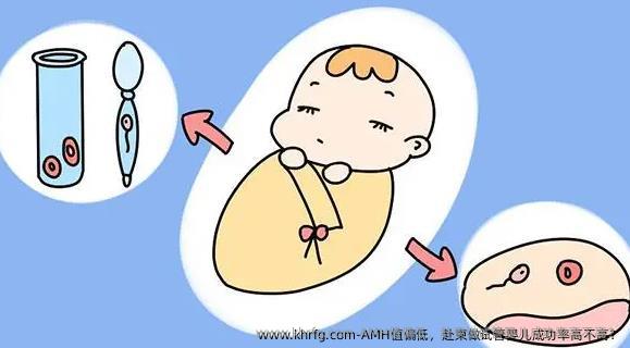 AMH值偏低，赴柬做试管婴儿成功率高不高？