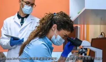 柬埔寨试管专家解析：胎停是卵子问题还是精子问题？