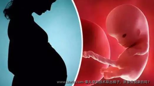 睾丸穿刺技术取出精子，质量是健康的吗？