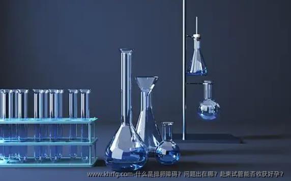 什么是排卵障碍？问题出在哪？赴柬试管能否收获好孕？