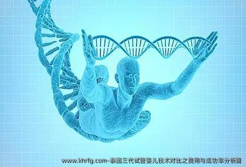泰国三代试管婴儿技术对比之费用与成功率分析篇