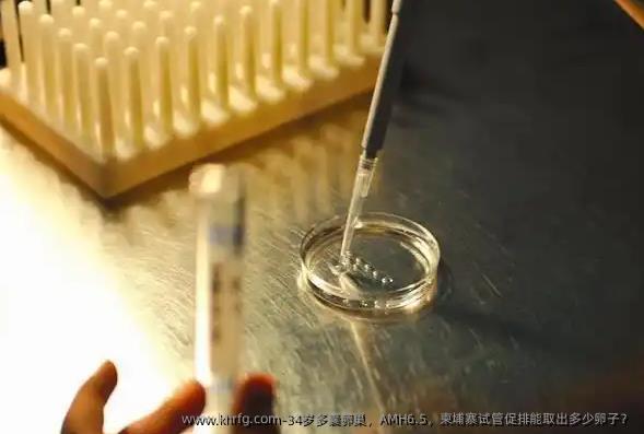 34岁多囊卵巢，AMH6.5，柬埔寨试管促排能取出多少卵子？