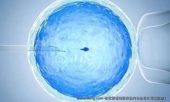 做试管促排卵泡取出后内分泌多久可以恢复？