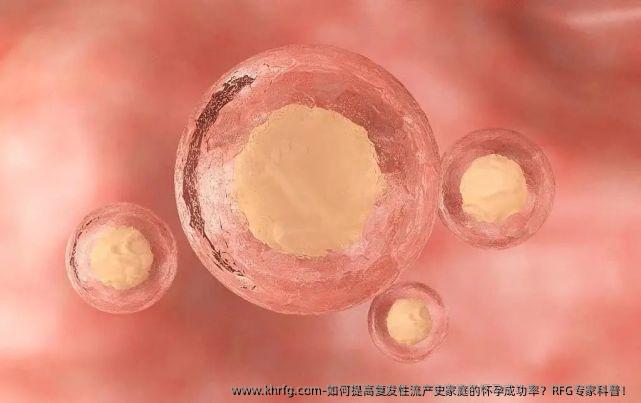 如何提高复发性流产史家庭的怀孕成功率？RFG专家科普！
