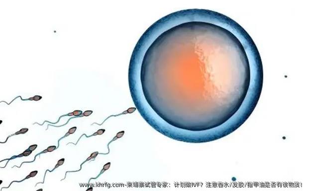 柬埔寨试管专家：计划做IVF？注意香水/发胶/指甲油是否有该物质！