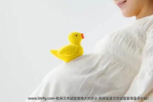 杭州三代试管费用大约多少,杭州做第三代试管要准备多少钱！