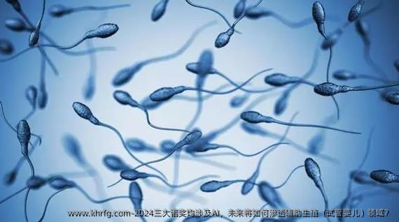 2024三大诺奖均涉及AI，未来将如何渗透辅助生殖（试管婴儿）领域？