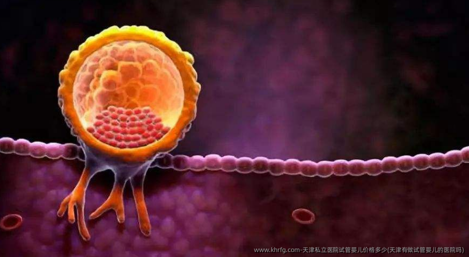 天津私立医院试管婴儿价格多少(天津有做试管婴儿的医院吗)