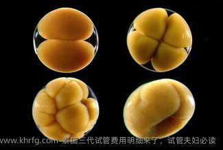 泰国三代试管费用明细来了，试管夫妇必读