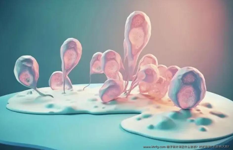 精子碎片率是什么意思？对试管婴儿的影响大吗？