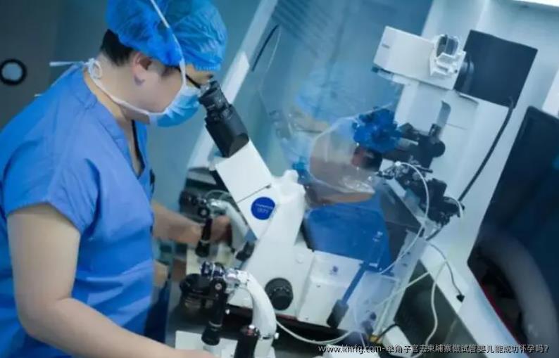 单角子宫去柬埔寨做试管婴儿能成功怀孕吗？