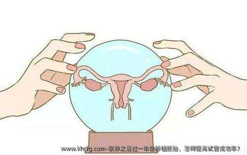 卵泡取出之后过一年在移植胚胎，怎样提高试管成功率？
