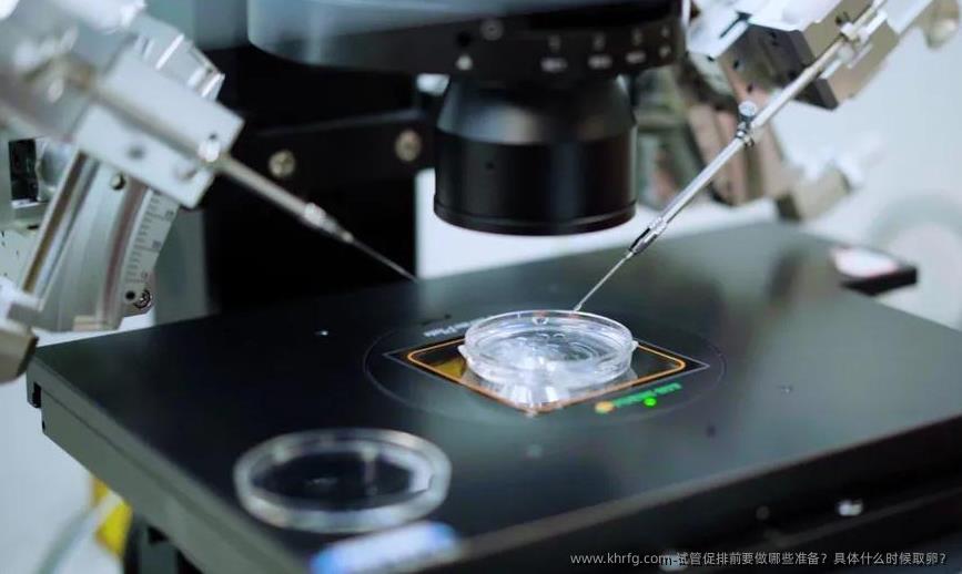 试管促排前要做哪些准备？具体什么时候卵泡取出？