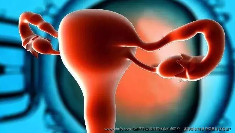 Cell子刊发表生酮饮食热点研究，备孕期女性是否适用该饮食法？