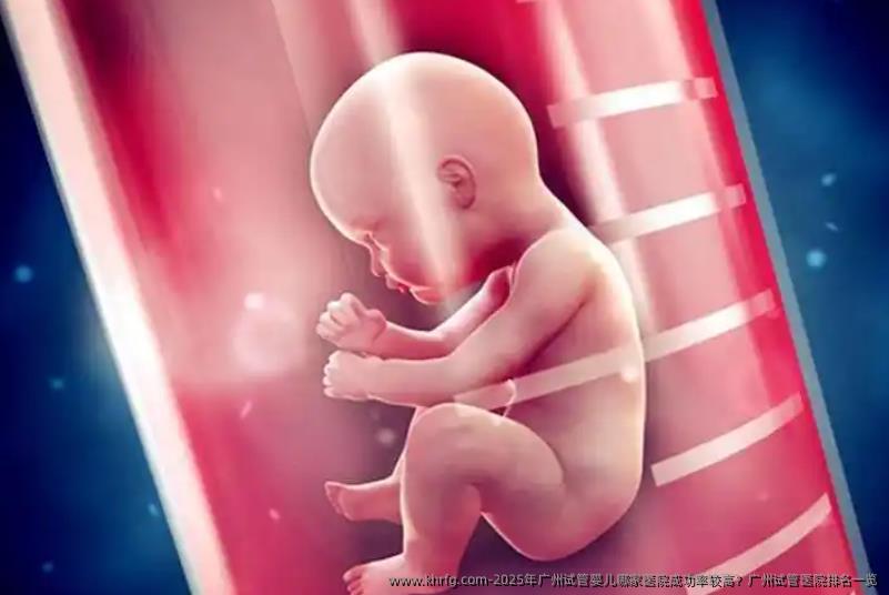 2025年广州试管婴儿哪家医院成功率较高？广州试管医院排名一览