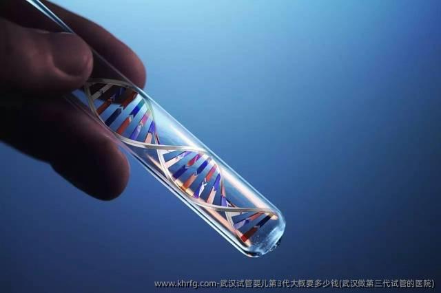 武汉试管婴儿第3代大概要多少钱(武汉做第三代试管的医院)