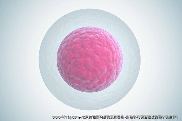 北京协和医院试管流程费用-北京协和医院做试管哪个医生好！