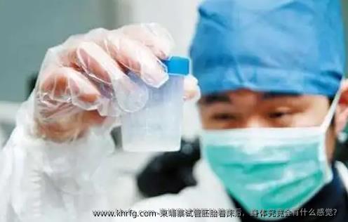 柬埔寨试管胚胎着床后，身体究竟会有什么感觉？