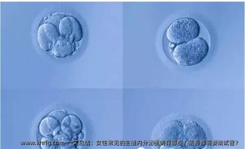 一文总结：女性常见的生殖内分泌疾病有哪些？是否都需要做试管？