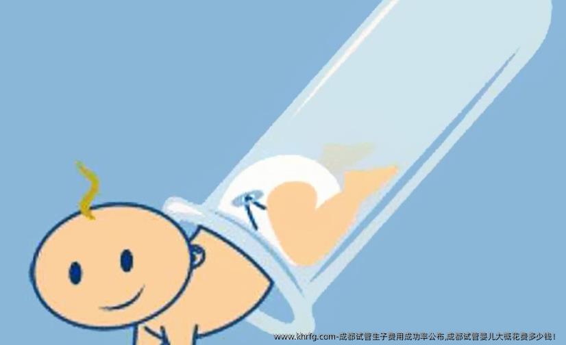 成都试管生子费用成功率公布,成都试管婴儿大概花费多少钱！