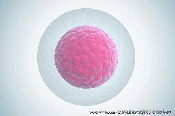 武汉同济三代试管婴儿费用是多少？