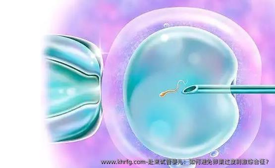 赴柬试管婴儿：如何避免卵巢过度刺激综合征？