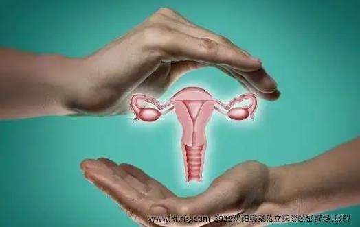 2025沈阳哪家私立医院做试管婴儿好？