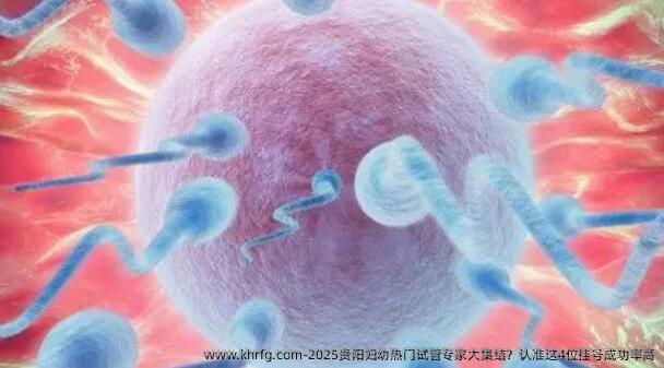 2025贵阳妇幼热门试管专家大集结？认准这4位挂号成功率高
