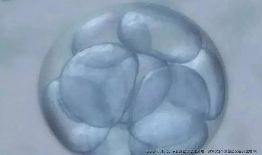 赴柬试管婴儿必知：避免这3个常见误区提升成功率！